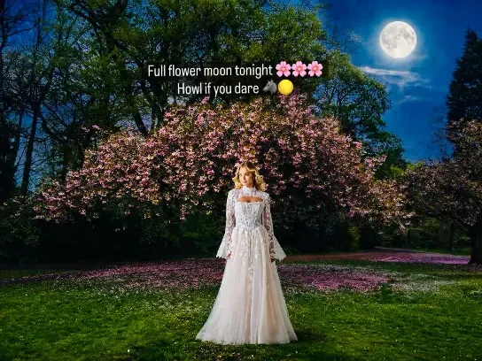Instagram #2